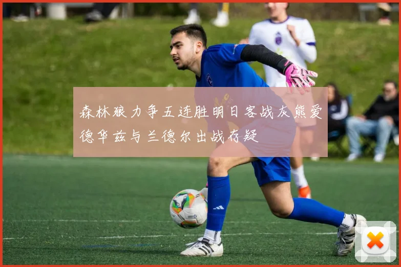 森林狼力争五连胜明日客战灰熊爱德华兹与兰德尔出战存疑