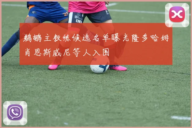 鹈鹕主教练候选名单曝光隆多哈姆肖恩斯威尼等人入围
