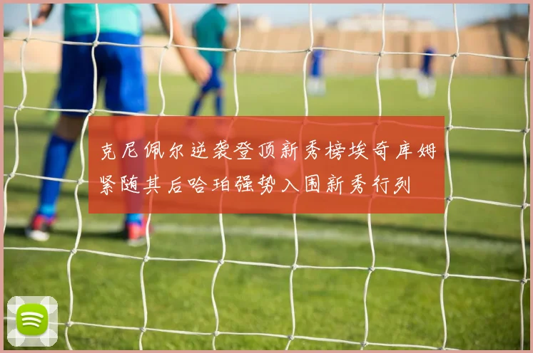 克尼佩尔逆袭登顶新秀榜埃奇库姆紧随其后哈珀强势入围新秀行列
